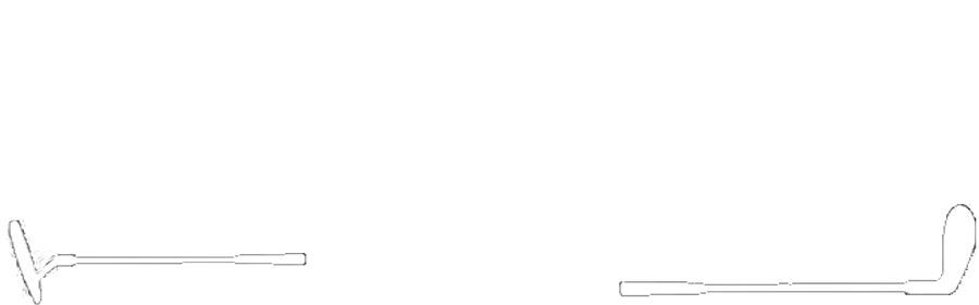 Dickson Golf Group Logo